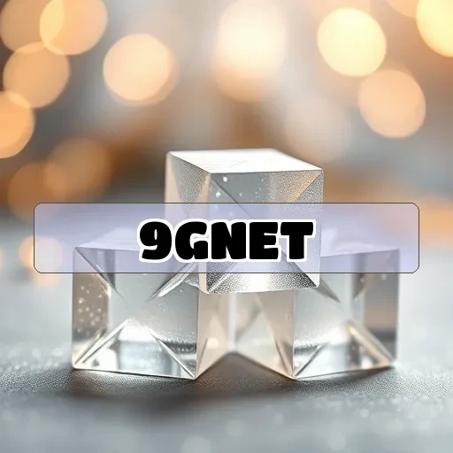 9gnet Casual